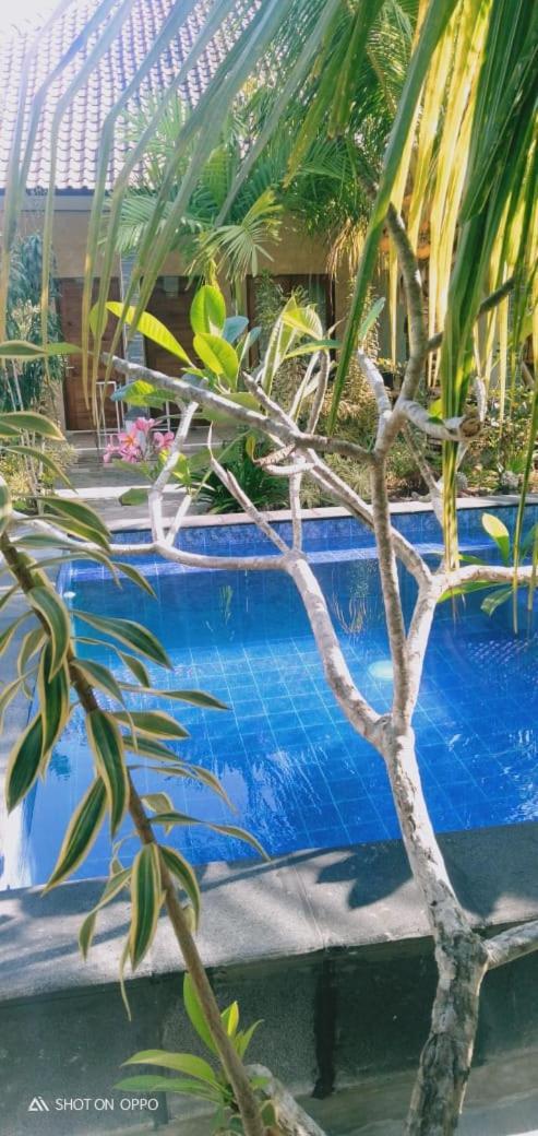 Belong Home Stay Lembongan Kültér fotó