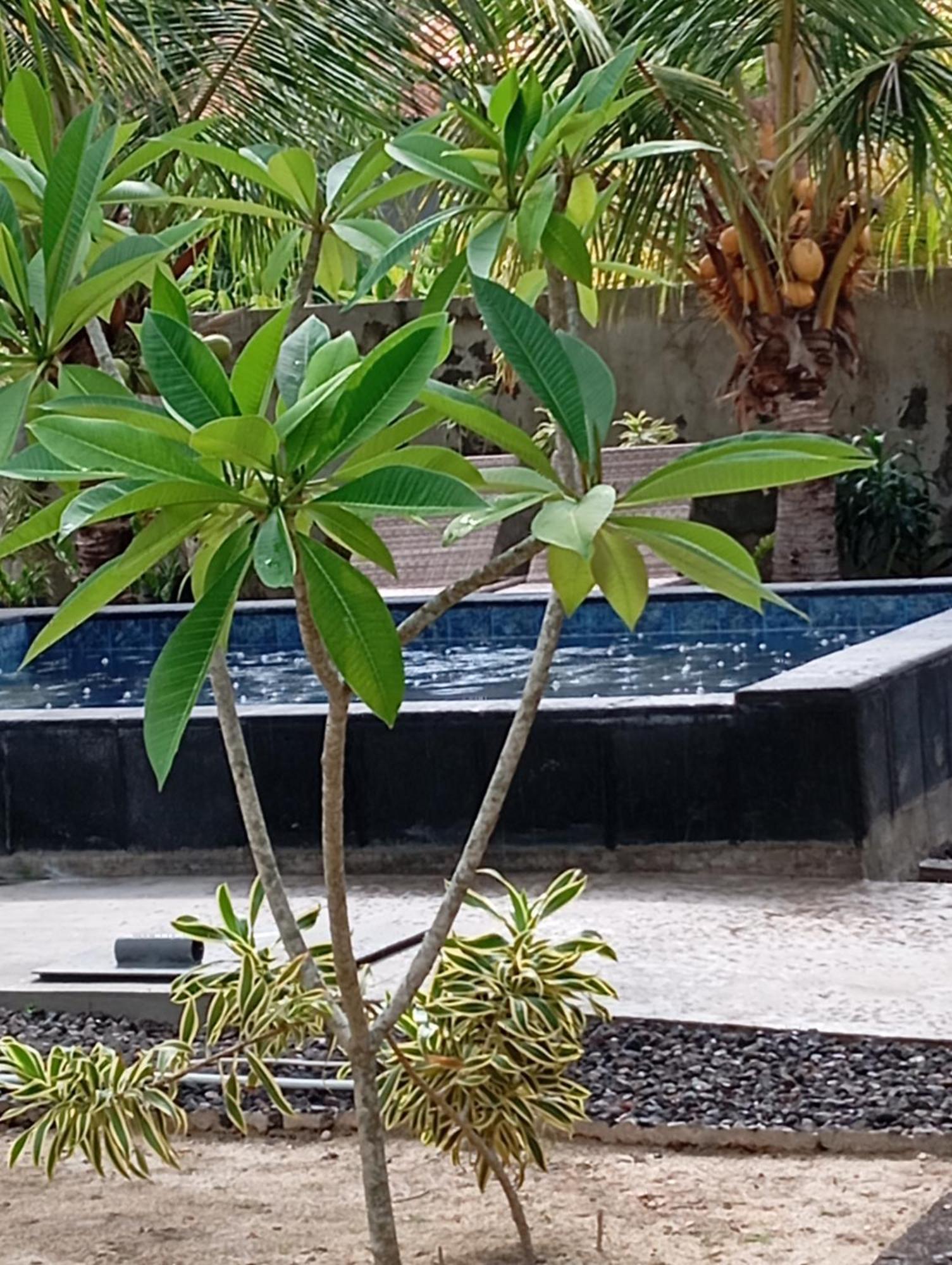 Belong Home Stay Lembongan Kültér fotó