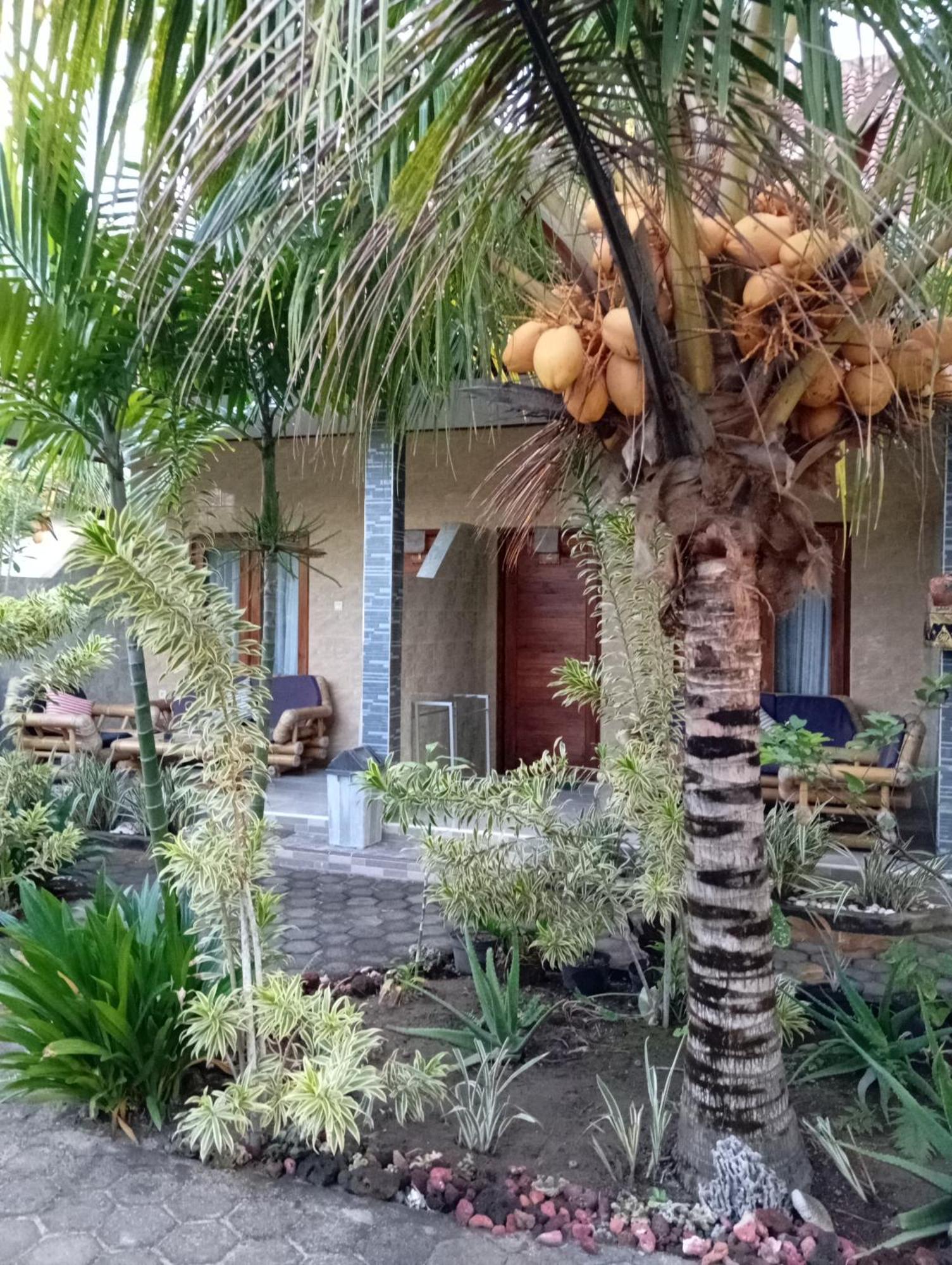 Belong Home Stay Lembongan Szoba fotó